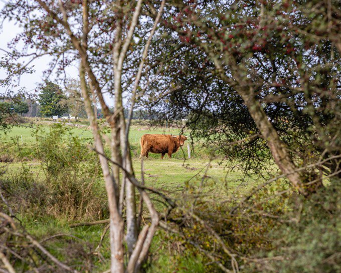 Alles dichtbij in Wagenberg